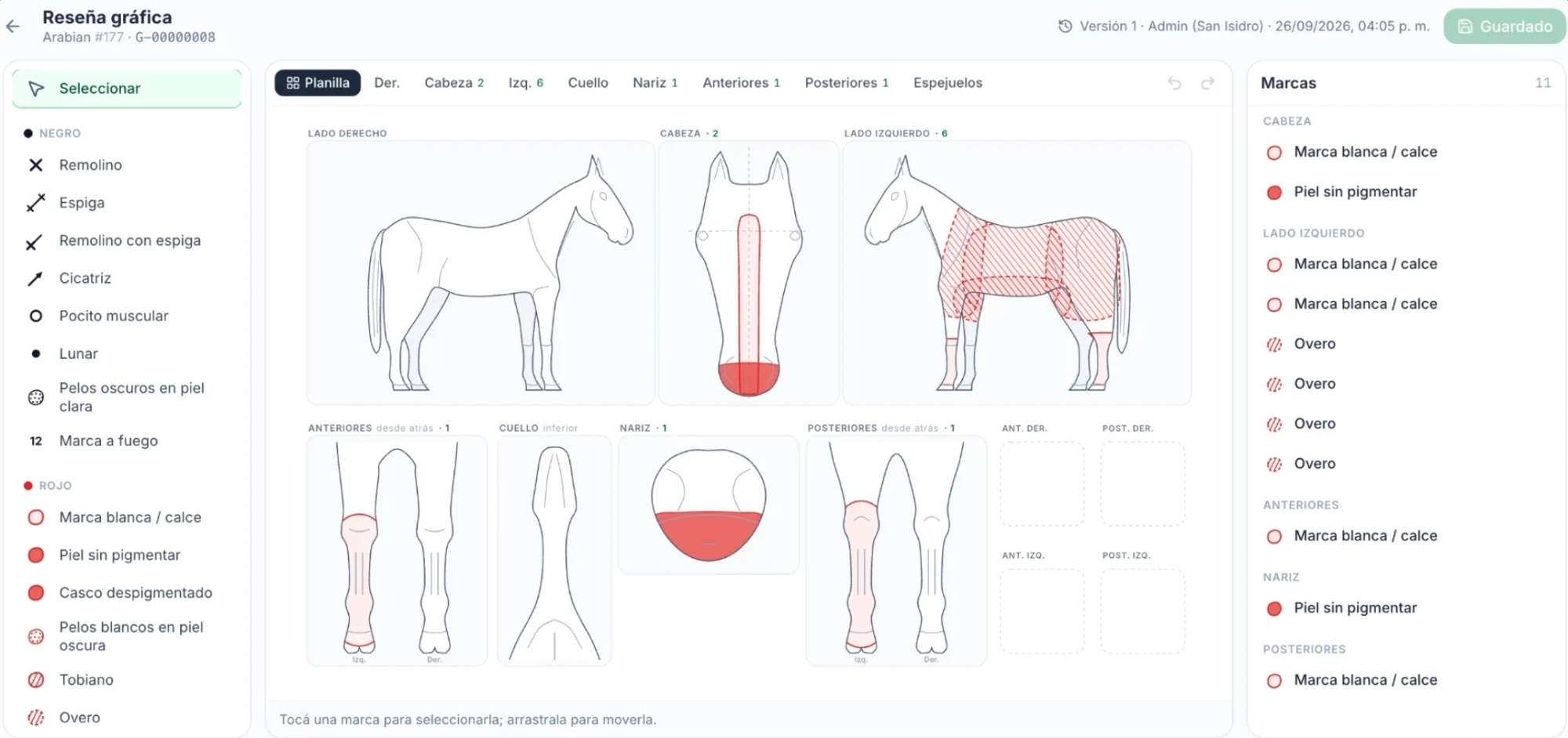 Reseña gráfica de un caballo en Galop.ar con marcas blancas, piel sin pigmentar y pelaje overo señalados en la planilla