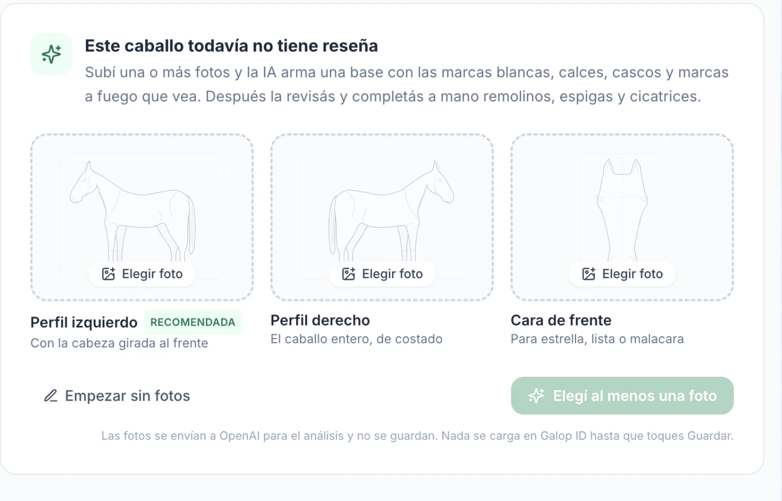 Pantalla de Galop.ar para subir fotos del caballo: perfil izquierdo, perfil derecho y cara de frente